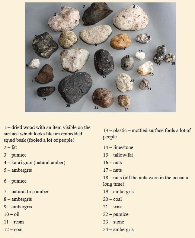 ambergris-ID-photo-list