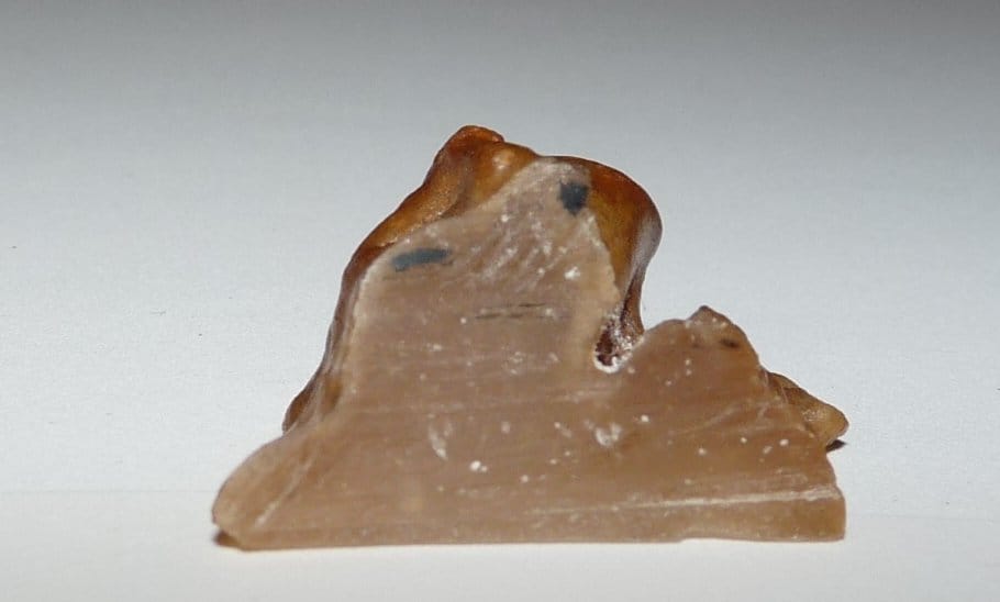 My photo of the tiny sample. They needed a hacksaw to cut it, which was the first hint it wasn't ambergris. I found out about the hacksaw after I got the sample because I asked my friend how the heck they cut it. Ambergris is *much* softer. This appears to be an agate to me.