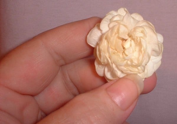 Ask the Perfumer July 28, 2013 Tincturing the Fragrant Harvest