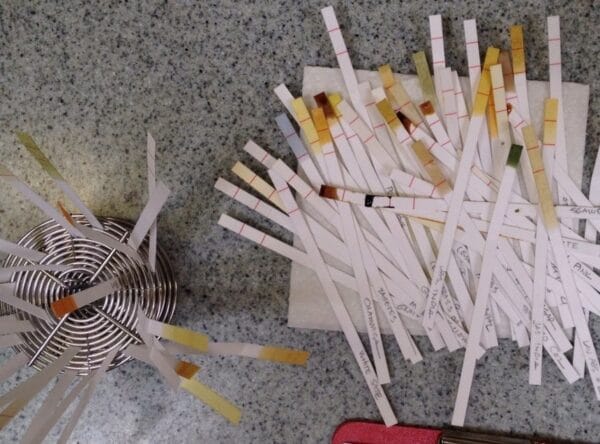 Daniel Krasofski's skillful repurposing of a film developing reel!