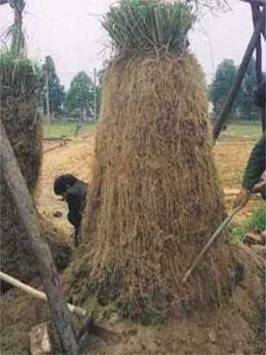 Ask the Perfumer forum Jan. 12, 2014 – and a Vetiver house :-)
