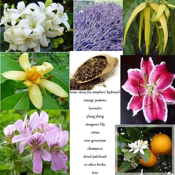 Make Hydrosol the Simplers Herbalist Way