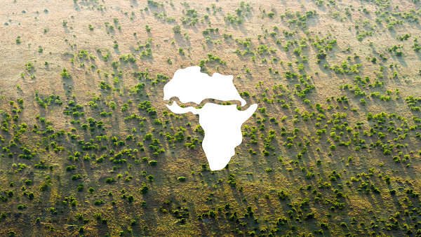 The ecological wonder of The Great Green Wall