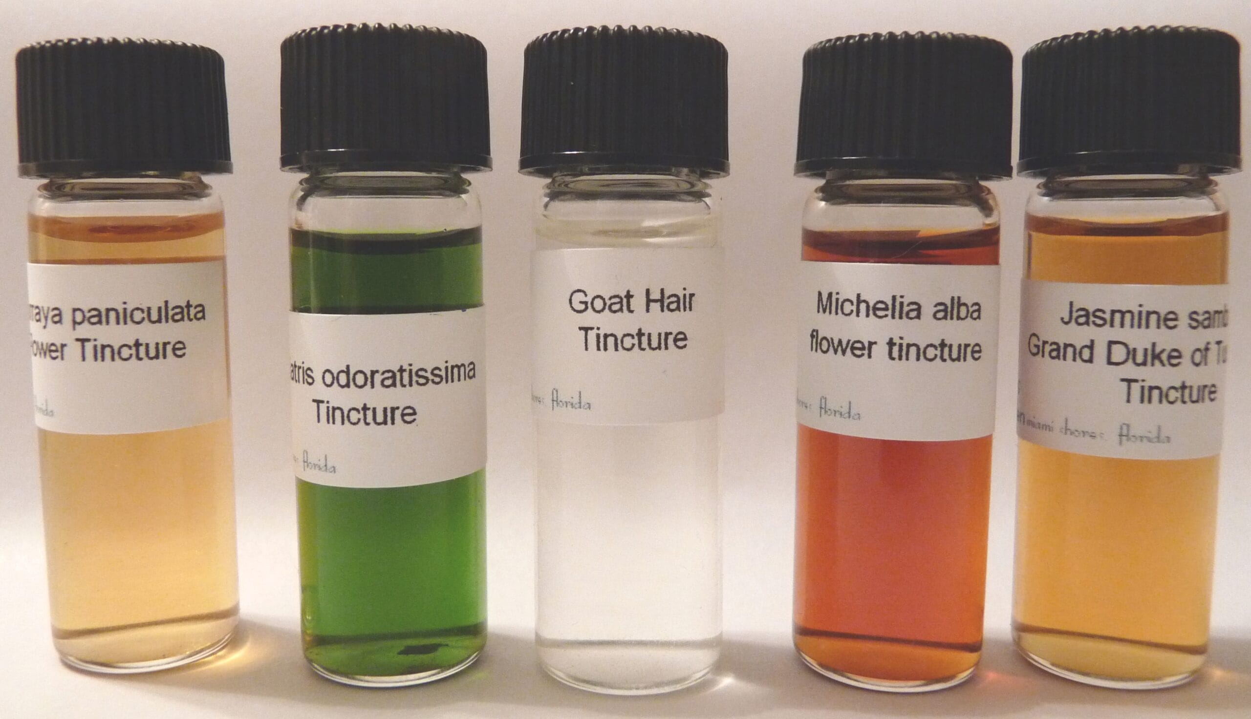 Photo of five aromatic tinctures