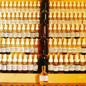 Learn how to dilute aromatics, use a scale, and work with professional evaluation forms to record your impressions.